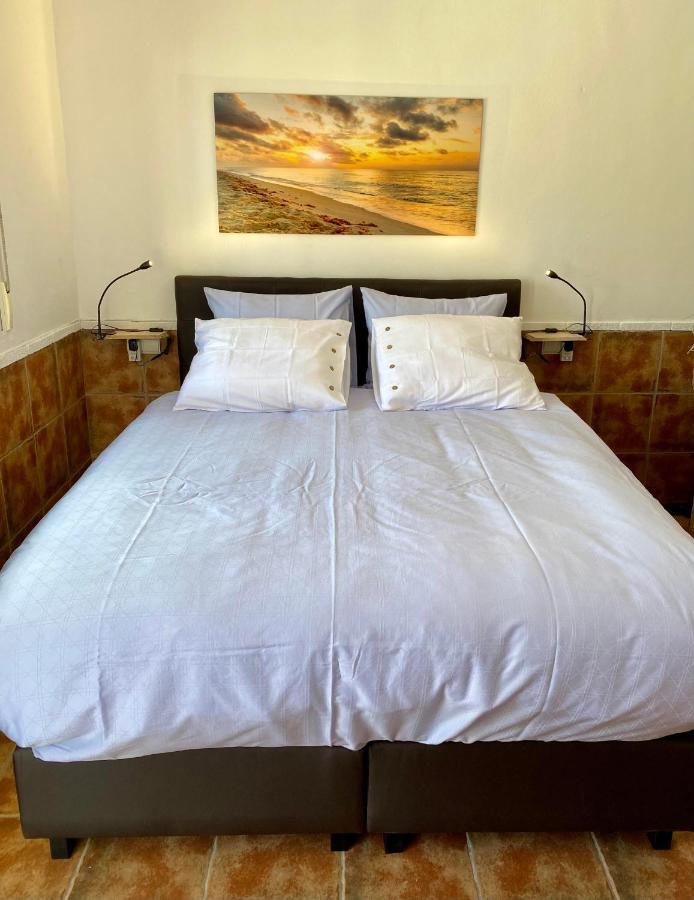 B&B Casa Azul Crevillente Exteriér fotografie